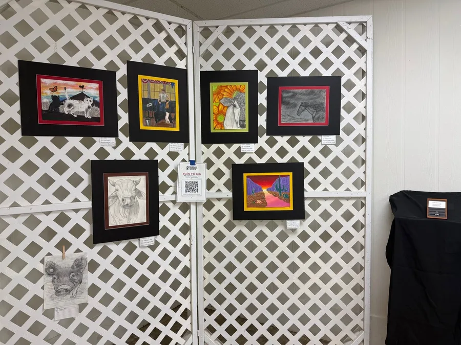 Framed student art and photography on display at the Show