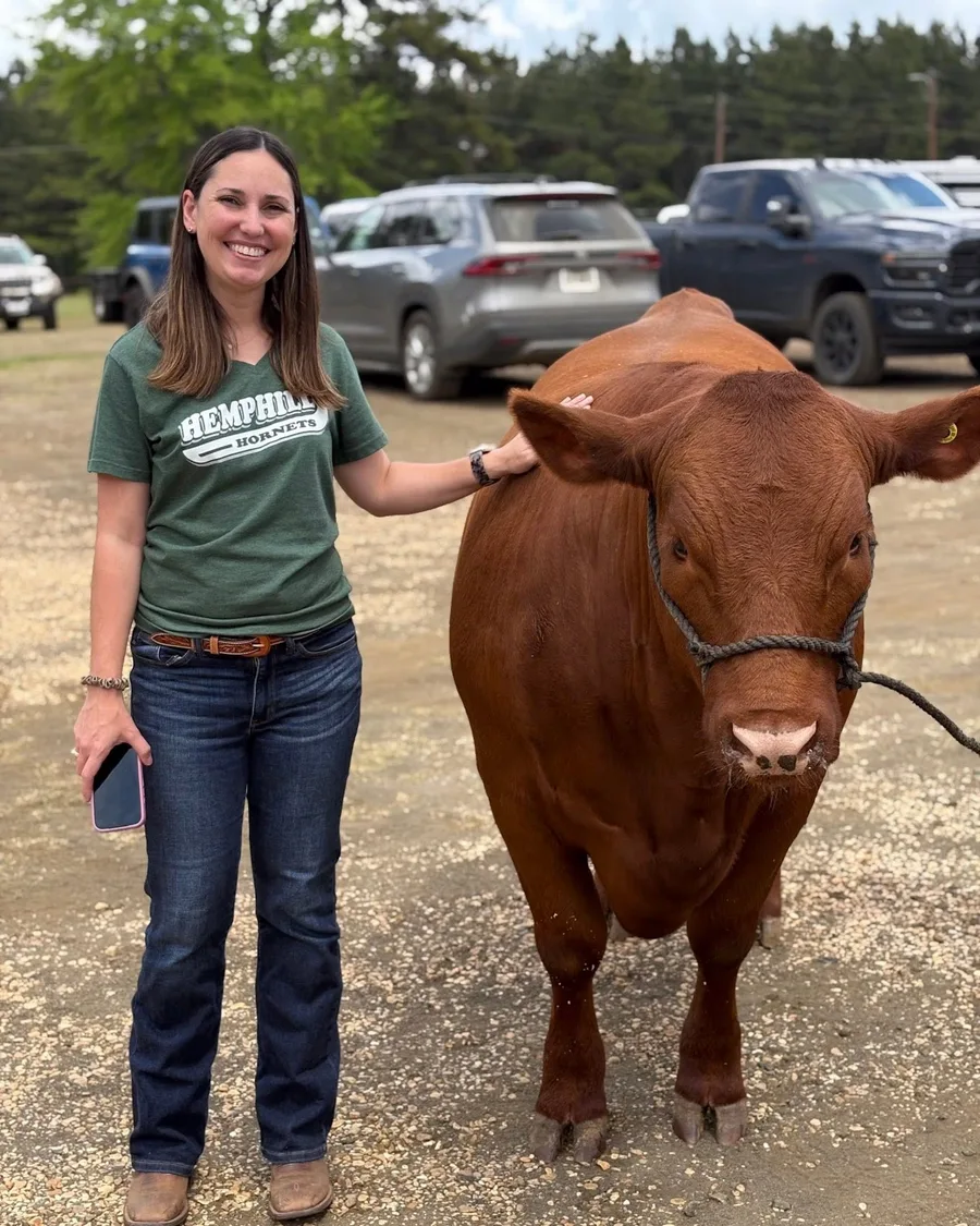Exhibitor in a Hemphill shirt holding a cattle lead